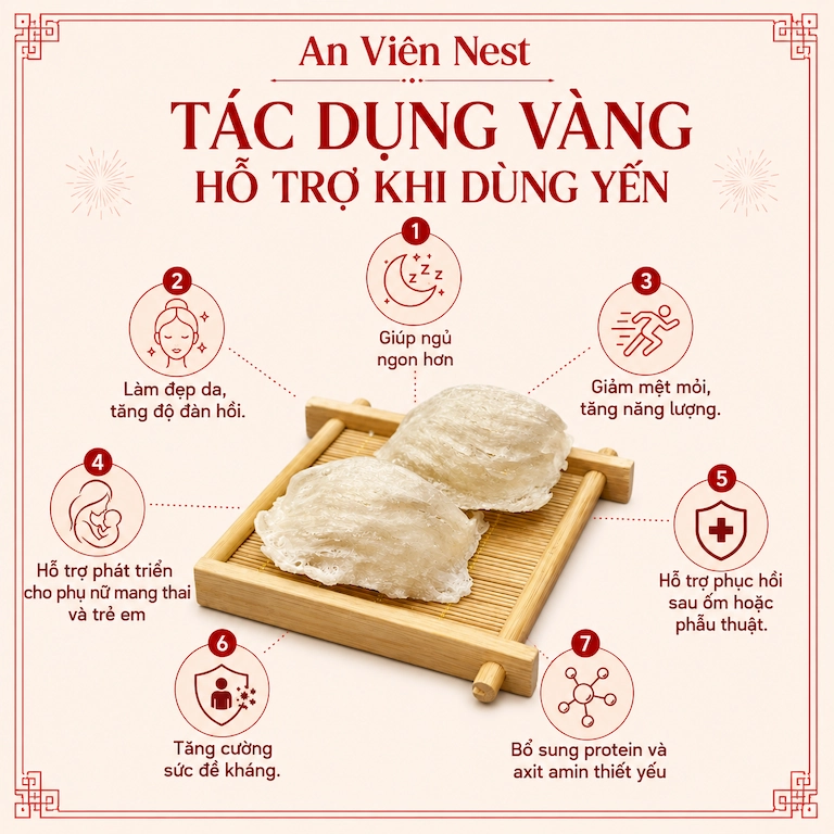 Tổ Yến là gì? Công dụng hỗ trợ sức khoẻ của Tổ Yến